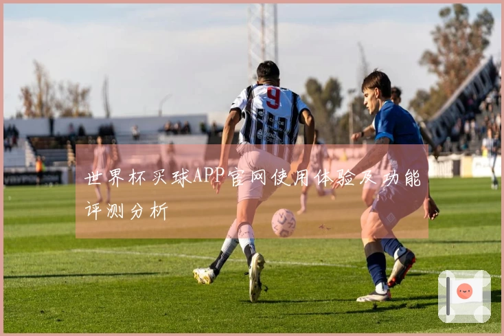 世界杯买球APP官网使用体验及功能评测分析