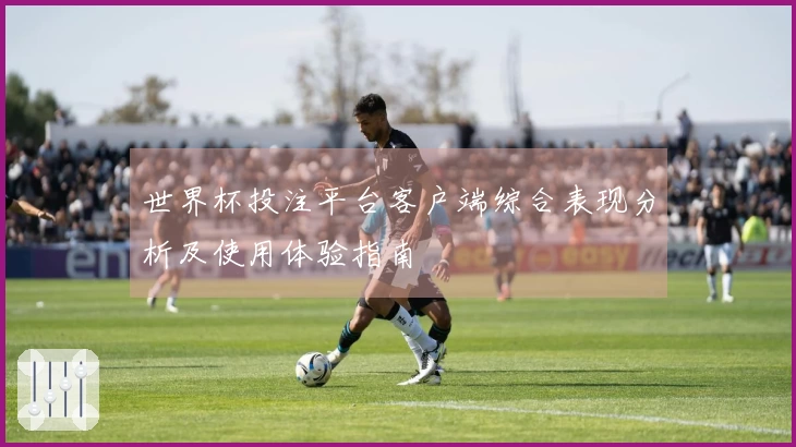 世界杯投注平台客户端综合表现分析及使用体验指南