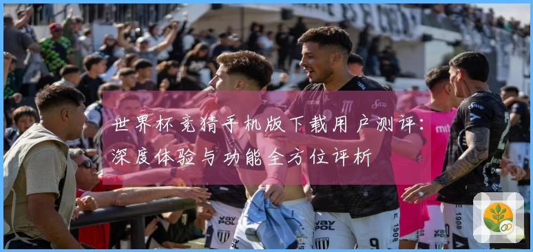 世界杯竞猜手机版下载用户测评：深度体验与功能全方位评析